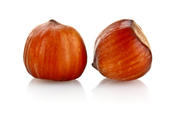 Two Hazelnuts Isolated on White Background