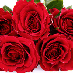 Bouquet of red roses on white background