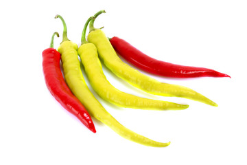 Peppers isolated on white