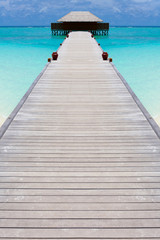 Obraz premium Holiday Paradise