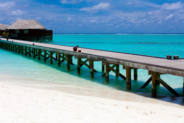 Holiday Paradise