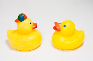 Papere. Rubber duckling
