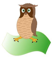 The owl, the bird of wisdom on parchment,vector