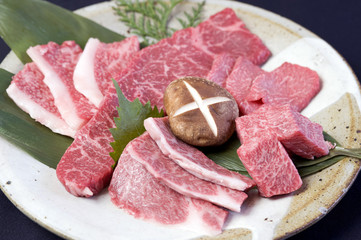 Japanese Kobe beef 4