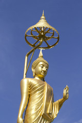 Fototapeta premium This is Gold Buddha statue in Temple Thailand