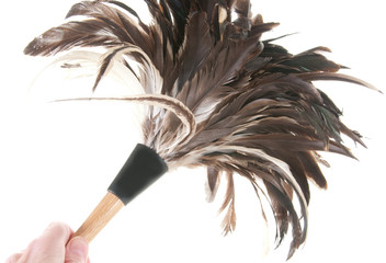 Cleaning with feather duster