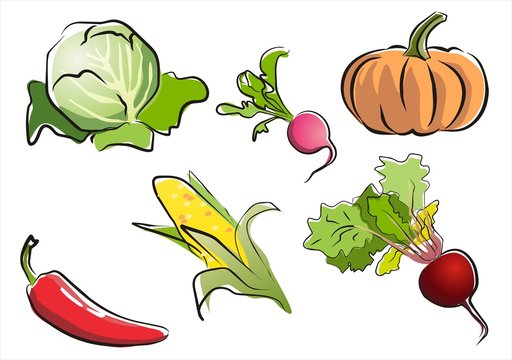 set of vegetables icon part 2