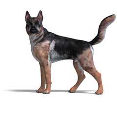German Shepherd Dog. 3D rendering with clipping path and shadow