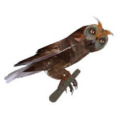 3D rendering with clipping path and shadow over white