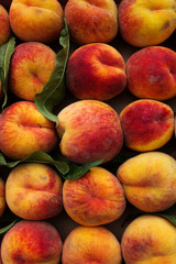 Fruit  peaches  leaves