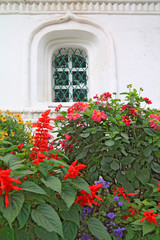 Fototapeta premium flowerses under window