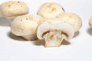 champignon