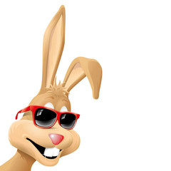 bunny with red sunglasses