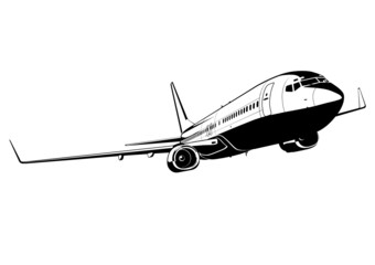 Vector commercial airliner