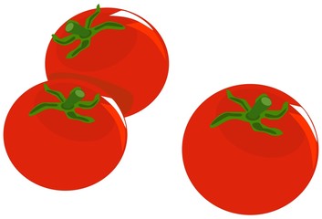 Tomatoes on white background