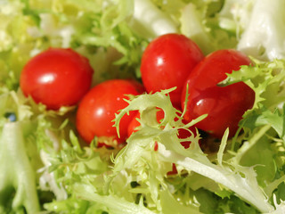 Grüner Salat mit Tomaten