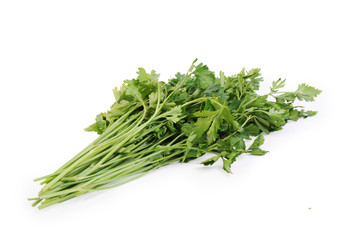 Bunch of parsley isolated on the white background