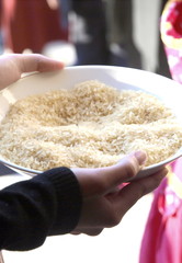 Rice at the Wedding