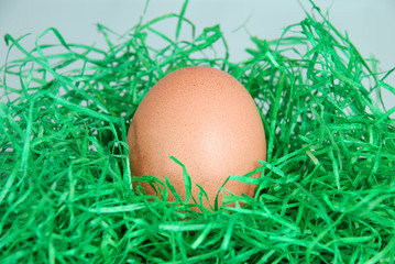 Ein Osterei im Osternest