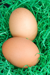 Zwei Ostereier im Ostergras