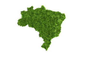 Gr&uuml;nes Brasilien
