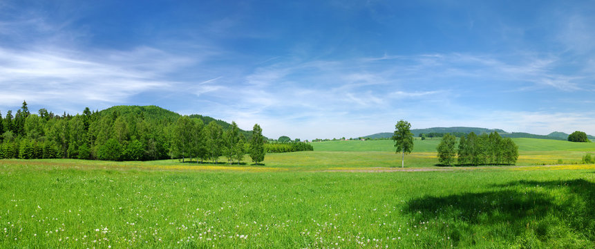Green meadow and blue sky during the spring