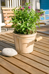 Biergarten, Gartenlokal, Gastromie, Sommersaison