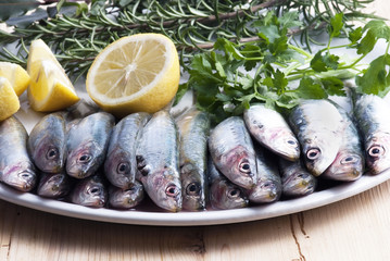 PIATTO DI SARDINE