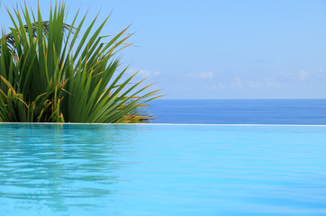 piscine tropicale à débordement sur fond bleu