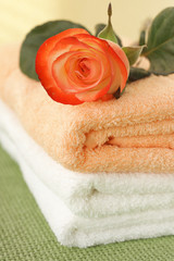 Rose and towels