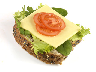 Cheese and Tomato Sandwich