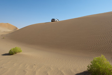 grüne Wüste mit Auto