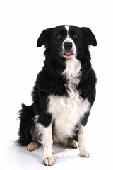 bäääääähhhhhhhhhhhhhhhhhh