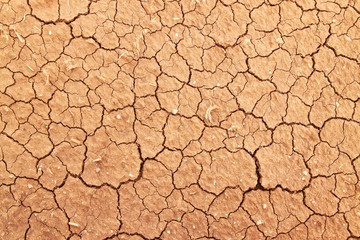 dry ground
