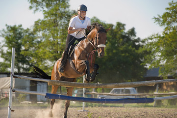 show jumping