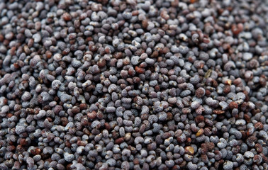 poppy seeds
