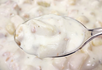 Spoon full of clam chowder