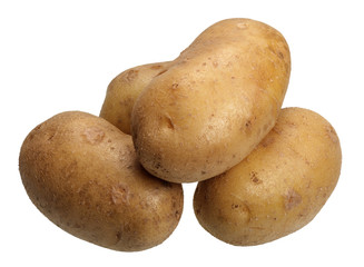 Potatoes, isolated