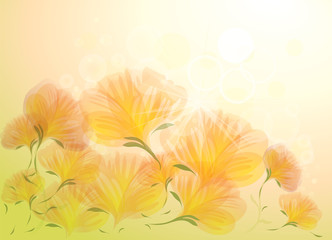 Romantic Flower background
