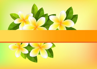 Tropic orange background with frangipani and green leaves