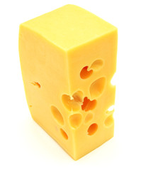 piece of cheese