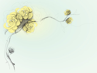 Dog-Rose flowers background / realistic sketch (not auto-traced)
