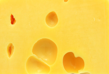 piece of cheese