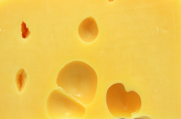 piece of cheese