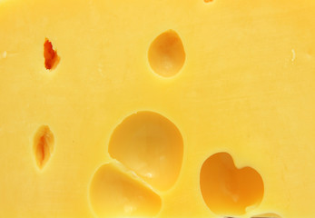 piece of cheese