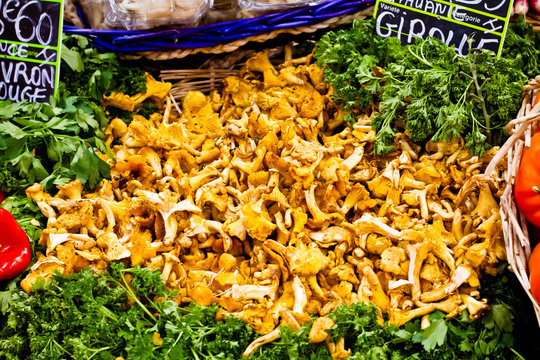 girolles