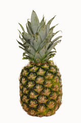 Fototapeta premium pineapple