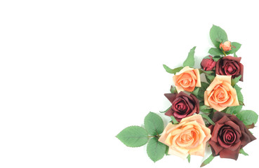 Fototapeta premium Roses