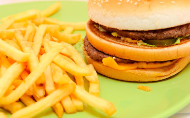 sandwich with fries
