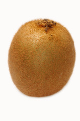 Fototapeta premium kiwi